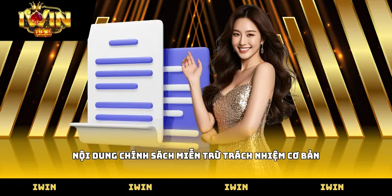 Nội dung chính sách Miễn trừ trách nhiệm cơ bản