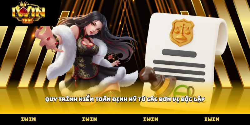 Quy trình kiểm toán định kỳ từ các đơn vị độc lập